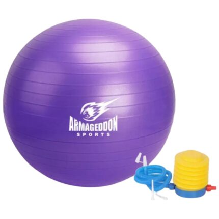 Gymnastic Ball With a Pump 65 cm / Гимнастическа Топка с Помпа 65 см