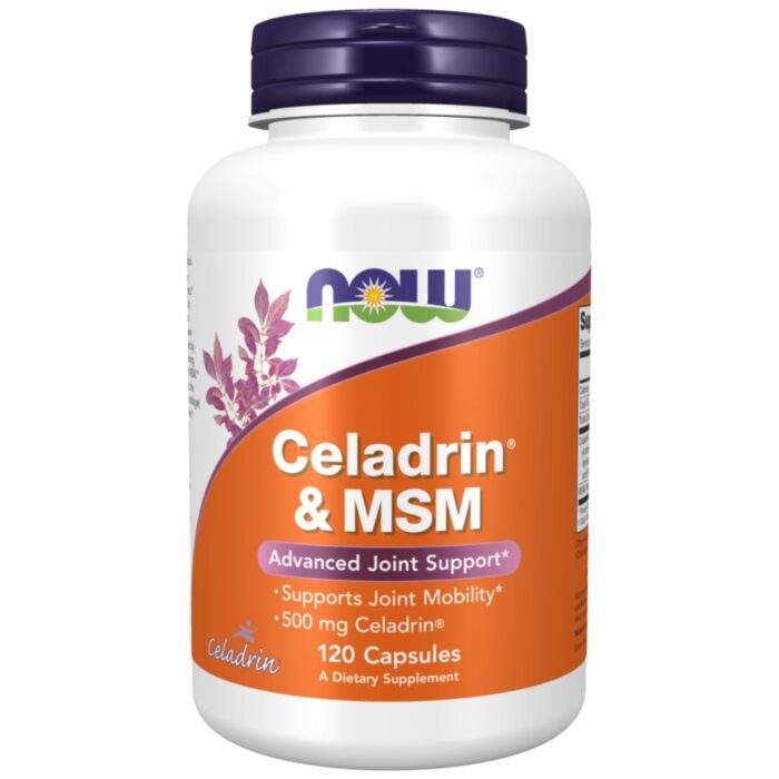 Celadrin & MSM 500 mg - Image 1