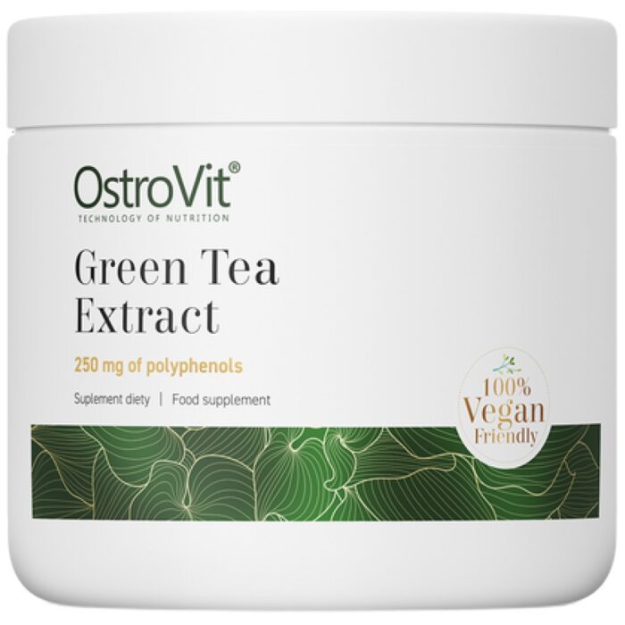 Green Tea Extract / Powder - Image 1