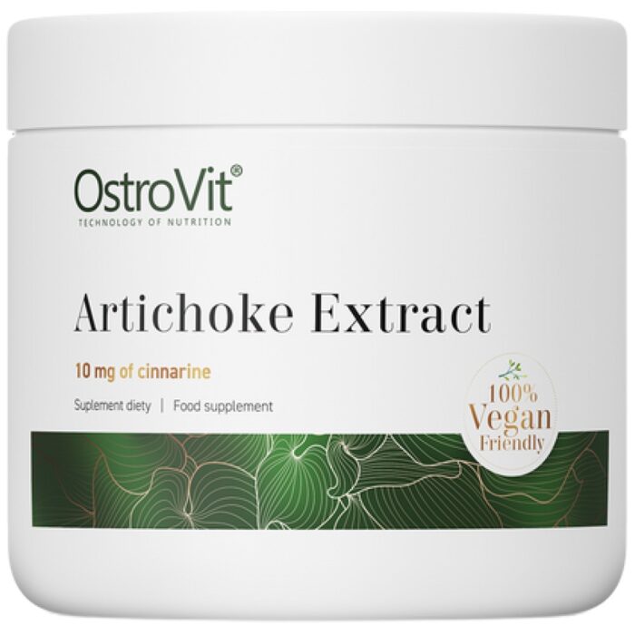 Artichoke Extract Powder - Image 1