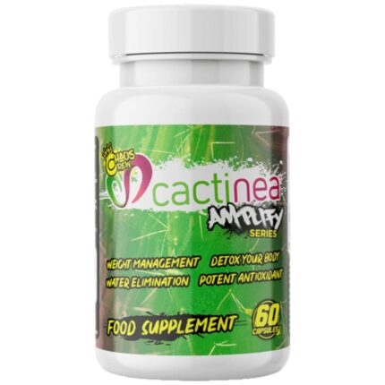 Cactinea | Amplify Series