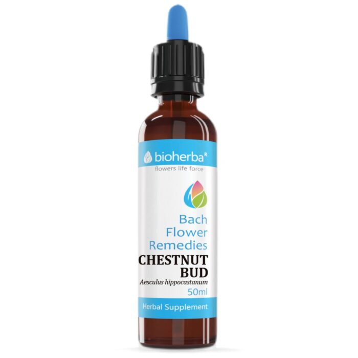 Drops Bach Flower Remedies Chestnut Bud | Aesculus Hippocastanum - Image 1