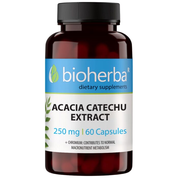 Acacia Catechu Extract 250 mg - Image 1
