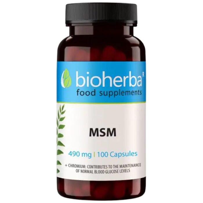 MSM 560 mg - Image 1