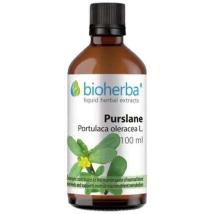 Tincture Portulaca oleracea (purslane)