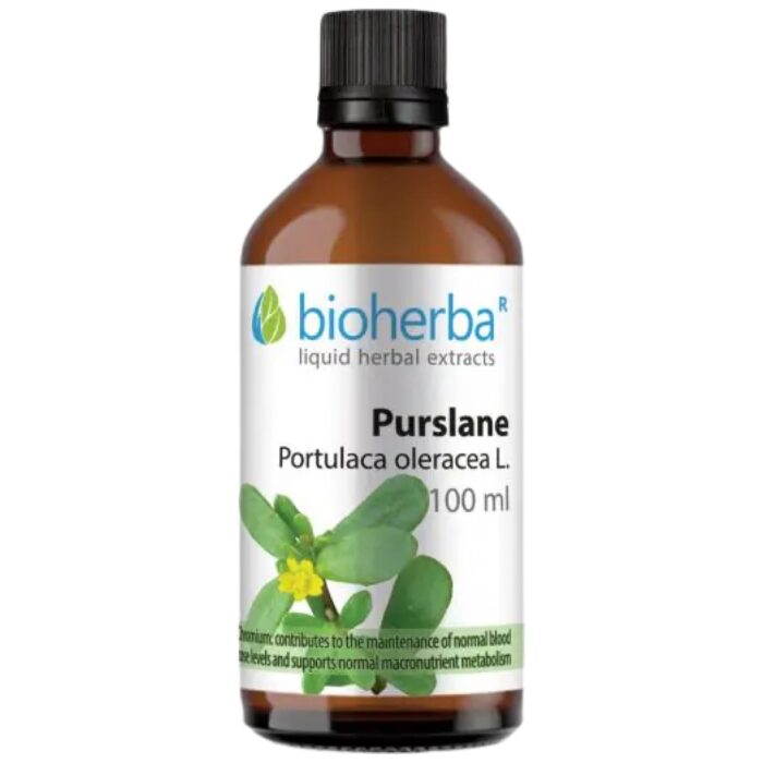Tincture Portulaca oleracea (purslane) - Image 1