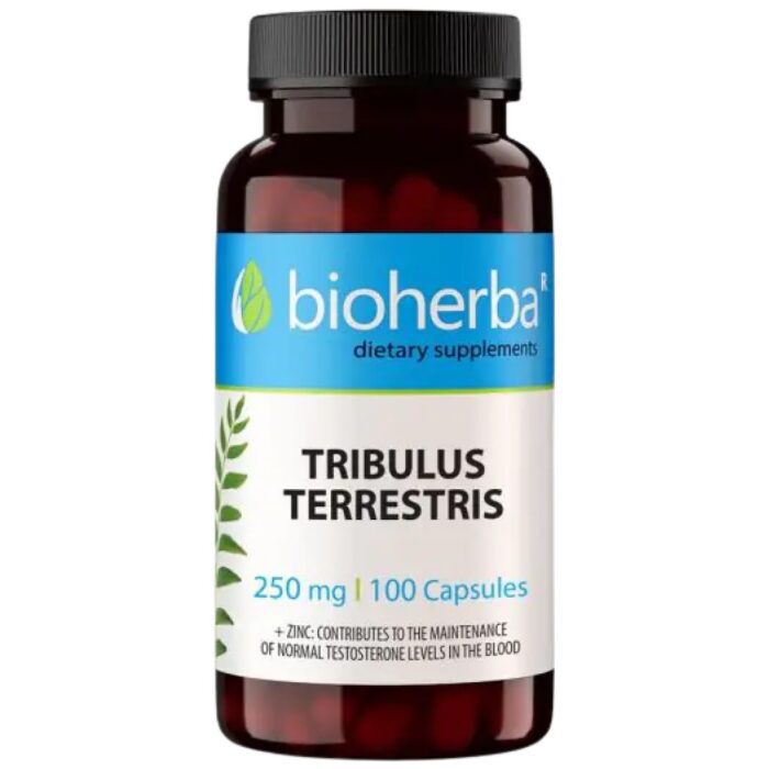 Tribulus Terrestris 250 mg - Image 1