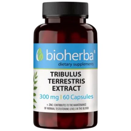 Tribulus Terrestris Extract 300 mg