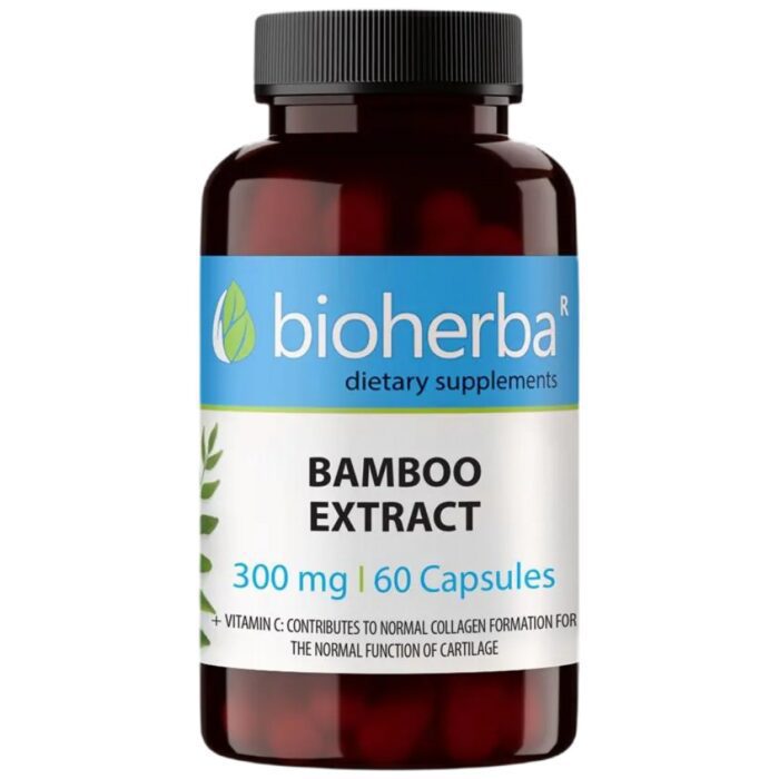 Bamboo Extract 300 mg - Image 1