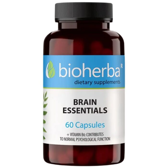 Brain Essentials - Image 1
