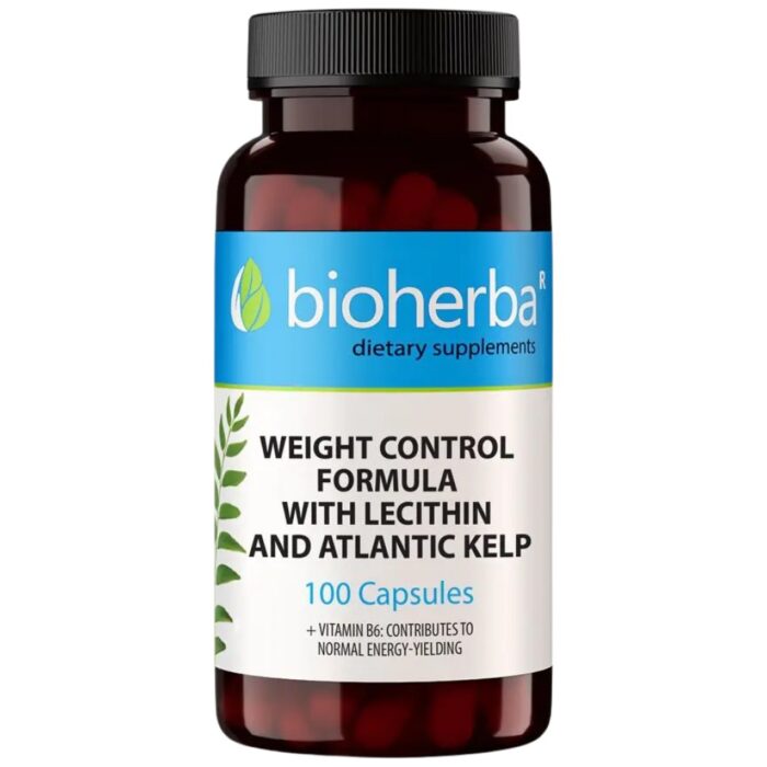 Lecithin,Kelp,B-6 and Cider Vinegar - Image 1