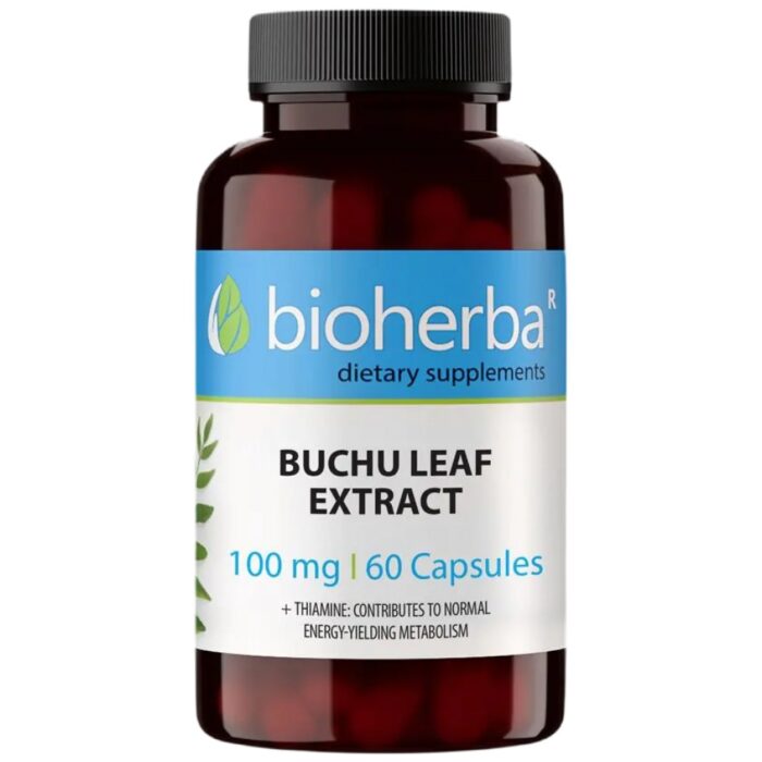 Buchu Leaf 100 mg - Image 1