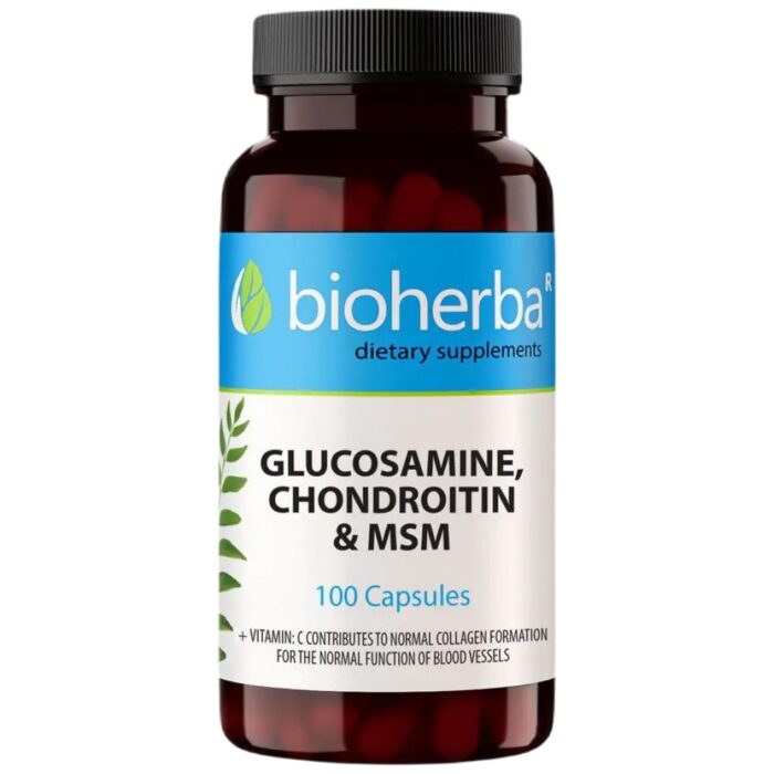 Glucosamine & Chondroitin + MSM - Image 1