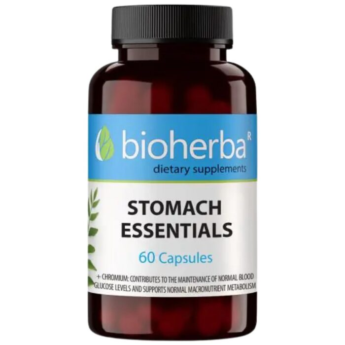 Stomach Essentials - Image 1