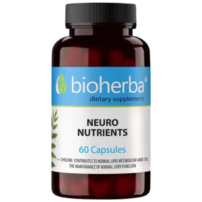 Neuro Nutrients - Image 1