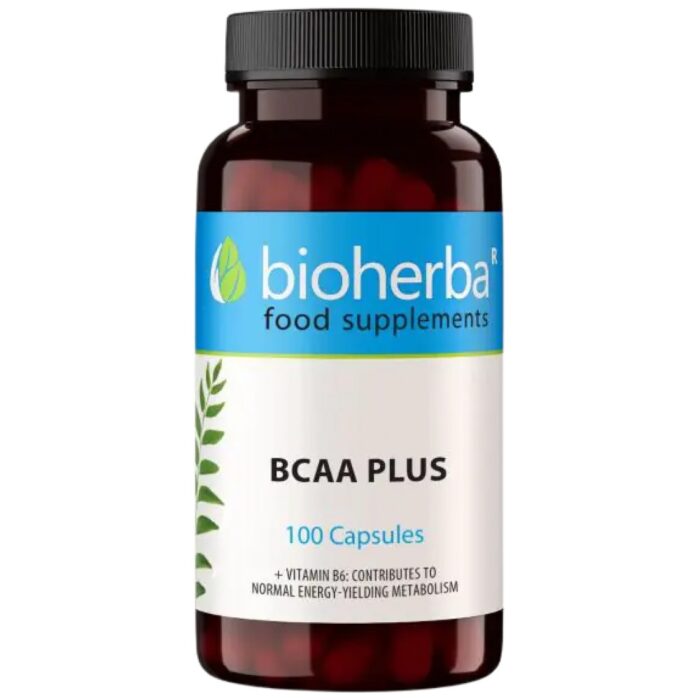 BCAA Plus - Image 1