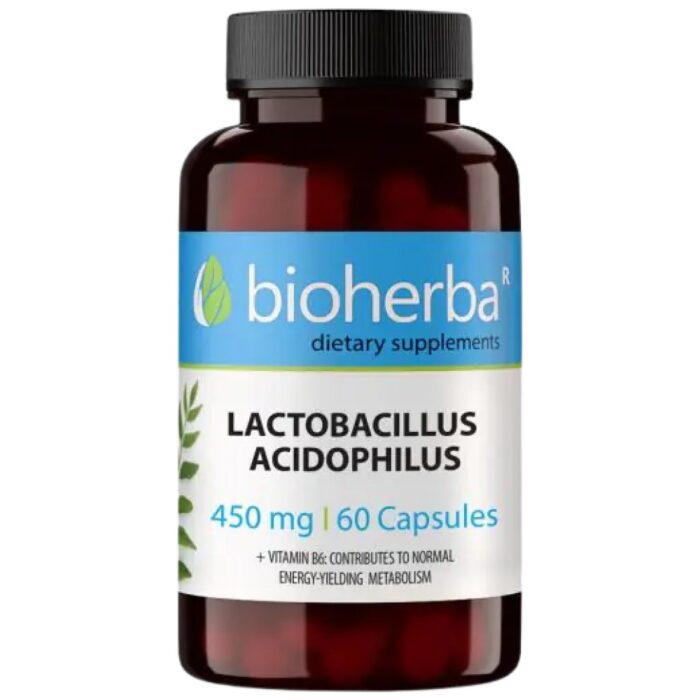 Lactobacillus Acidophilus 450 mg - Image 1