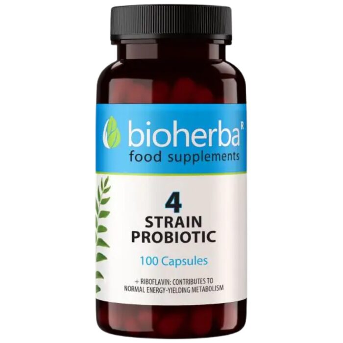 4 Strain Probiotic | with Riboflavin - Image 1