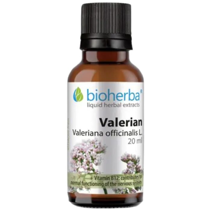 Tincture Valeriana Officinalis - Image 1