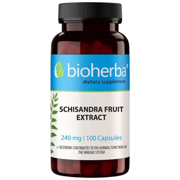 Schisandra Fruit Extract 240 mg - Image 1