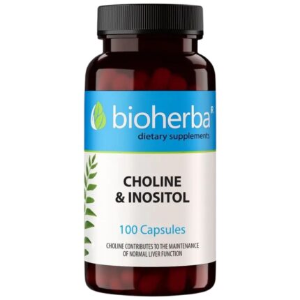 Choline & Inositol