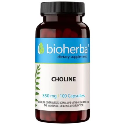 Choline 350 mg