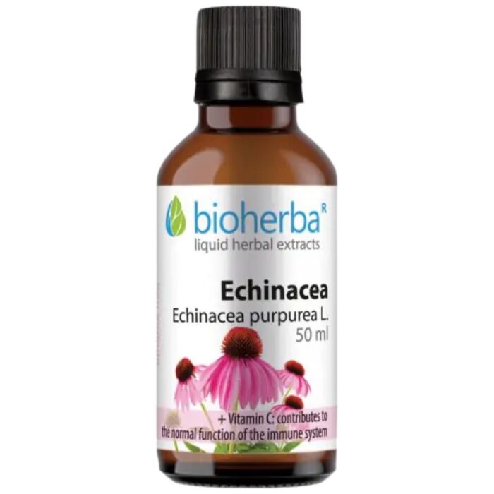 Tincture Echinacea - Image 1