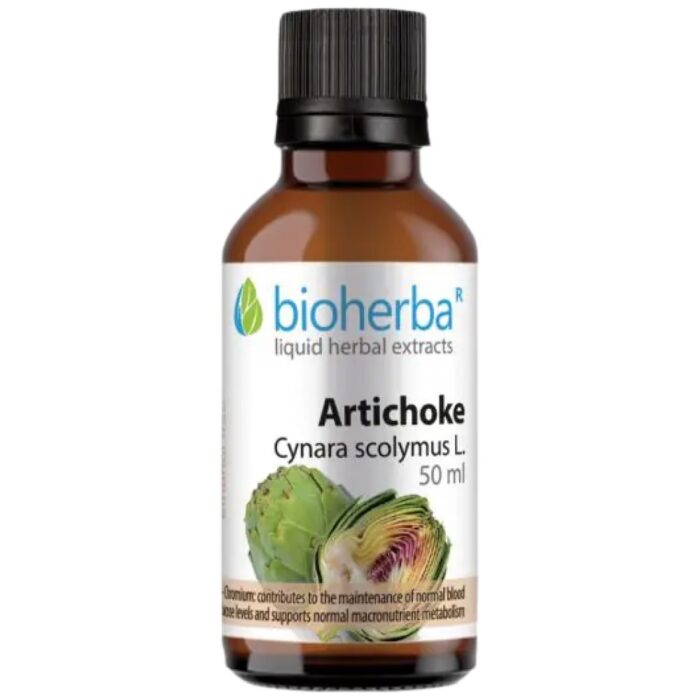 Tincture Artichoke - Image 1
