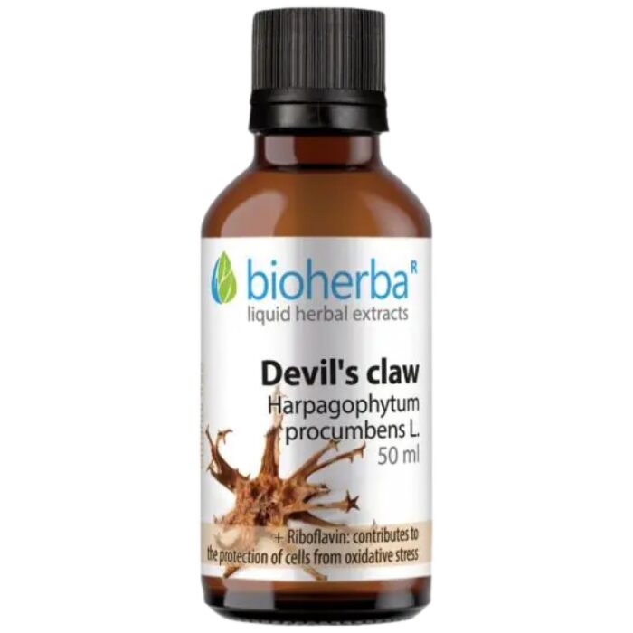 Devil's Claw Tincture - Image 1