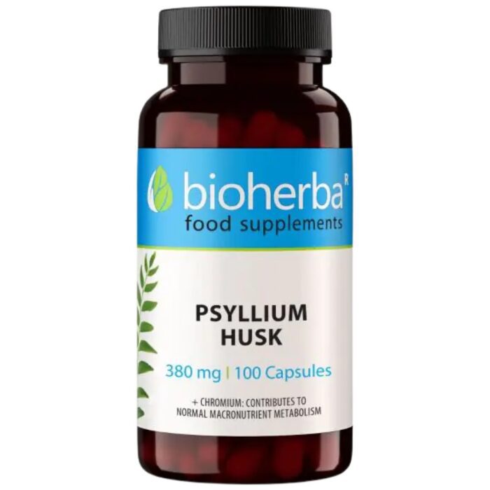 Psyllium Husk 380 mg - Image 1