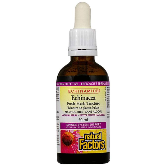 Echinacea Fresh Herb Tincture 1000 mg - Image 1