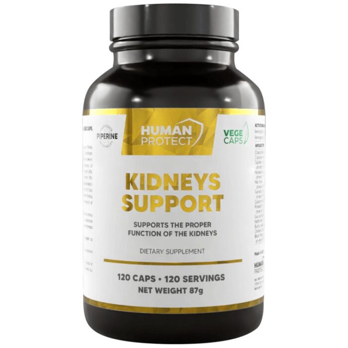 Kidneys Support | Proper Kidney Function Support - Image 1