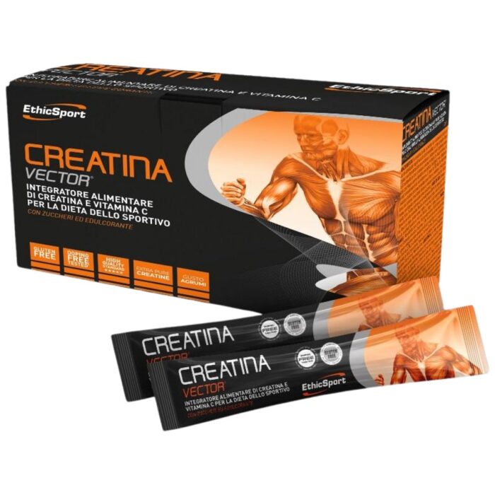 CREATINA VECTOR | Creatine & Amino Acids - Image 1
