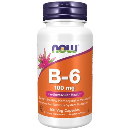 Vitamin B-6 100 mg