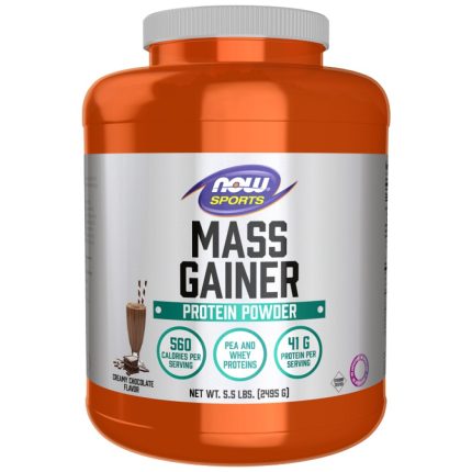 Mass Gainer Powder | High Protein Gainer