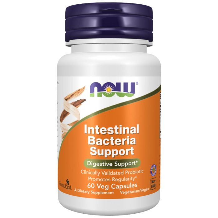 Intestinal Bacteria Support | with 3 Billion Active Cells - Image 1