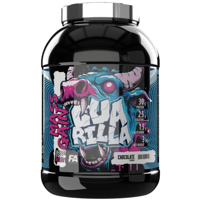 Mass Gain | High Protein Gainer - Image 1