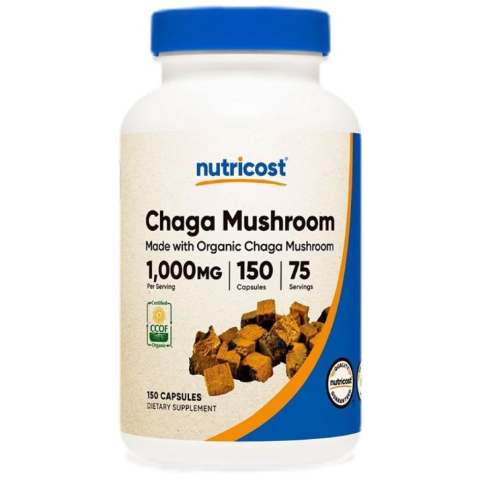 Chaga Mushroom Extract 500 mg - Image 1