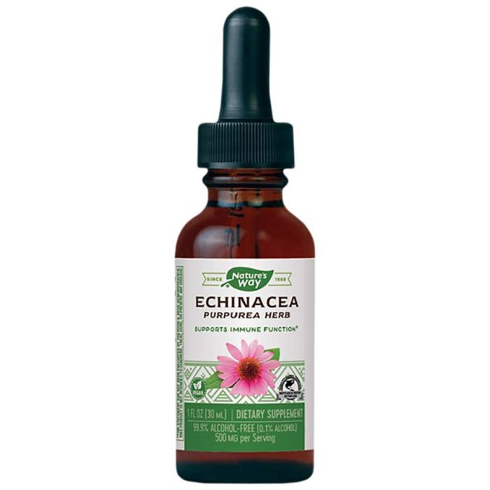Echinacea 30 ml - Image 1