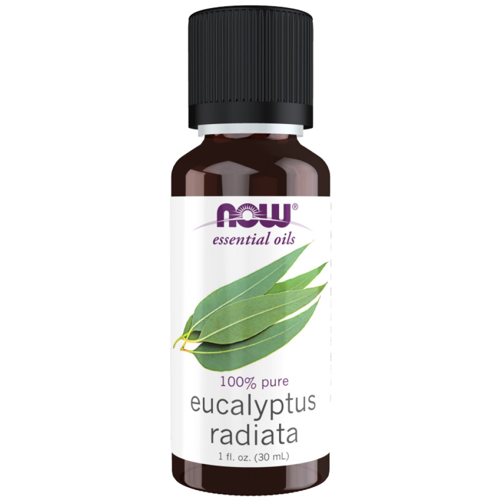 7527_mainimage-65a9646-1000x1000 Eucalyptus Radiata Oil | 100% Pure Eucalyptus Radiata - Image 1