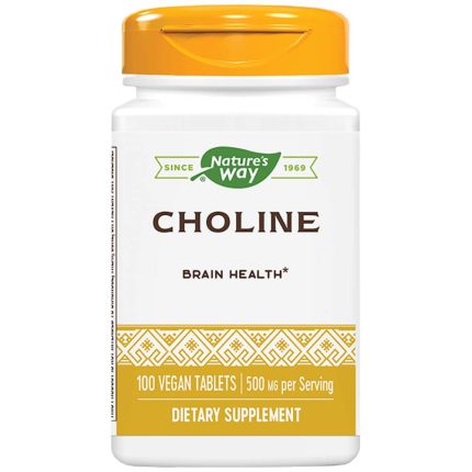 Choline 500 mg