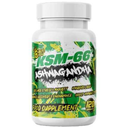 KSM 66 Ashwagandha 600 mg