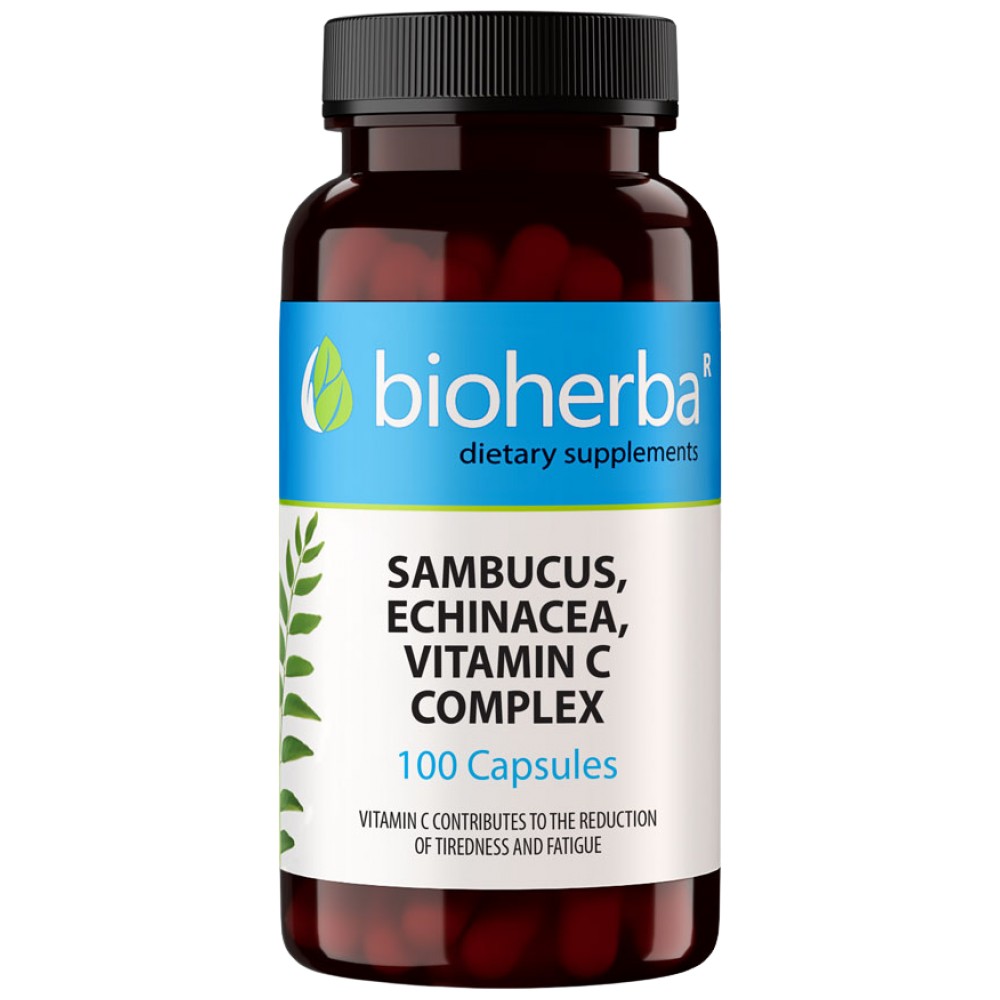 63183865_big-8b6d3ac-1000x1000 Sambucus, Echinacea, Vitamin C Complex - Image 1