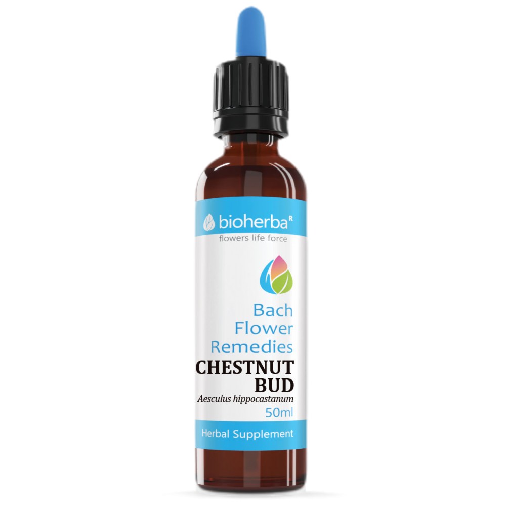 63188337_big-81c41af-1000x1000 Drops Bach Flower Remedies Chestnut Bud | Aesculus Hippocastanum - Image 1