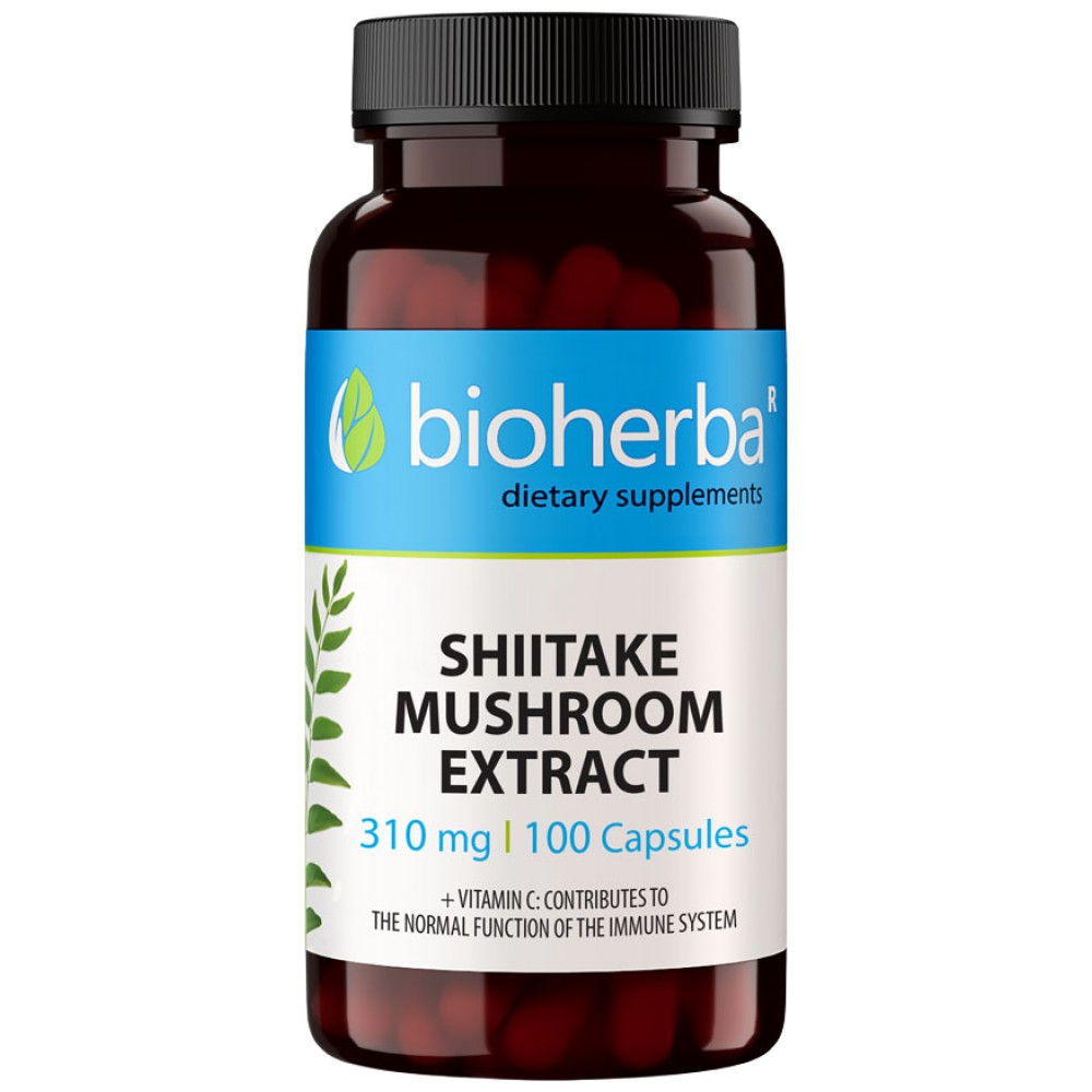 63193961_big-ebe8613-1000x1000xwhite Shiitake Mushroom Extract 310 mg - Image 1