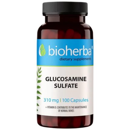 Glucosamine Sulfate 300 mg