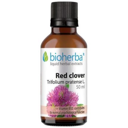 Tincture Red Clover