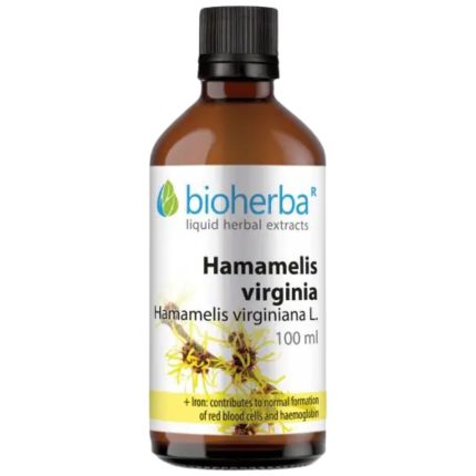Tincture Hamamelis Virginia