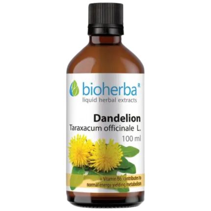 Tincture Dandelion Root