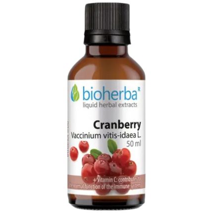 Tincture Cranberry